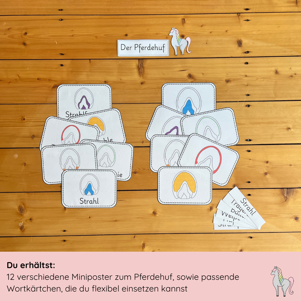 Unser Pferdehuf-Bundle