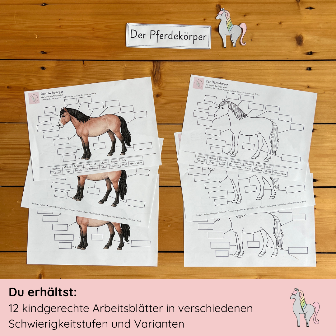 Materialpony - Rundum versorgt