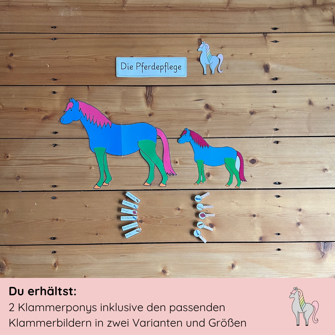 Unser Pferdepflege-Bundle
