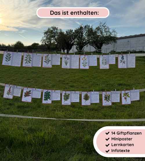 Materialpaket Nutz- und Giftpflanzen