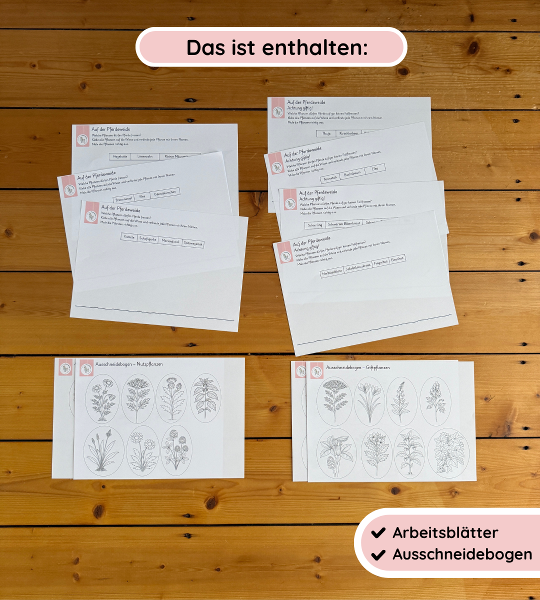 Materialpaket Nutz- und Giftpflamnzen