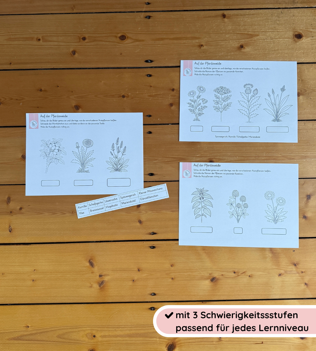 Materialpaket Nutz- und Giftpflanzen