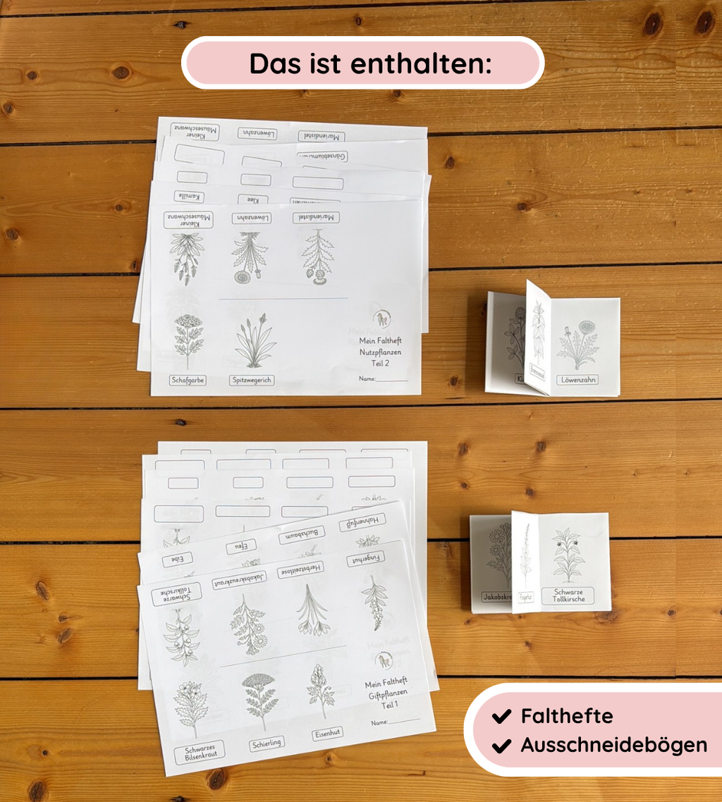 Materialpaket Nutz- und Giftpflanzen