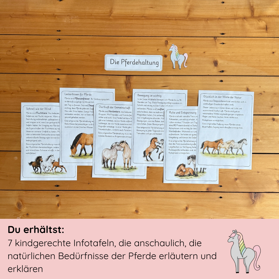 Materialpony - Rundum versorgt