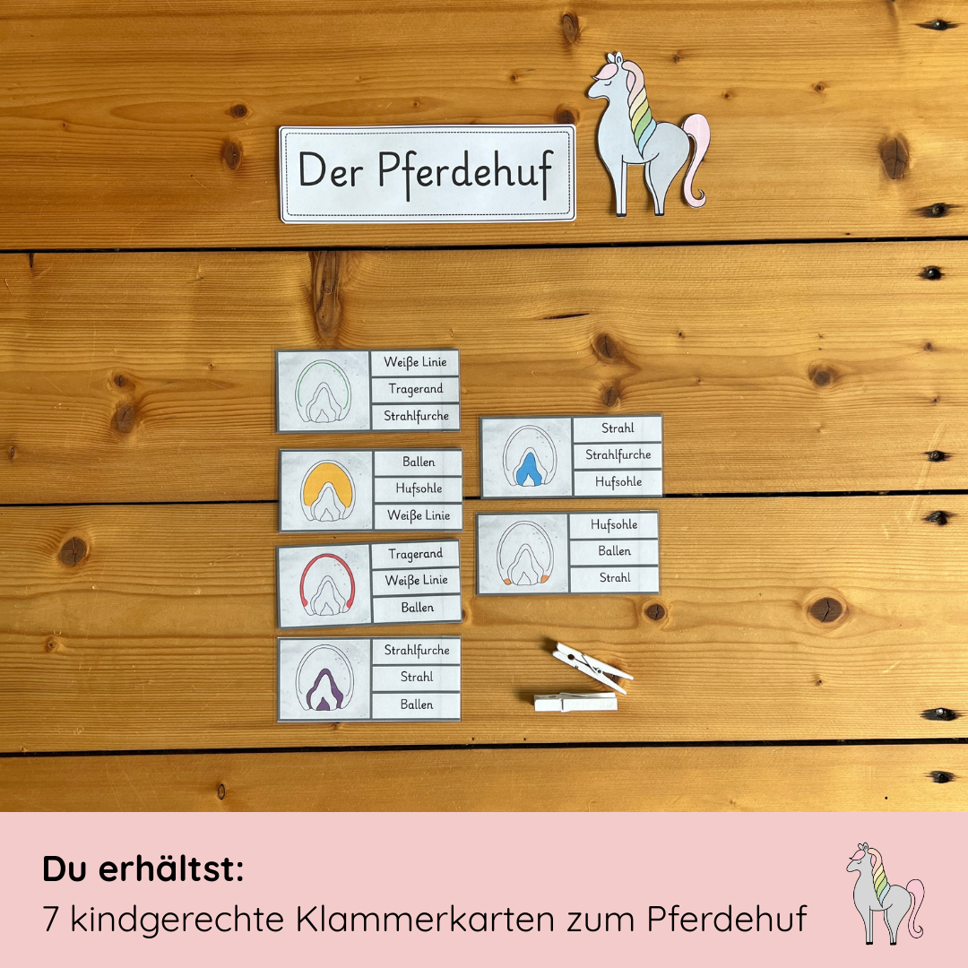 Klammerkarten Pferdehuf