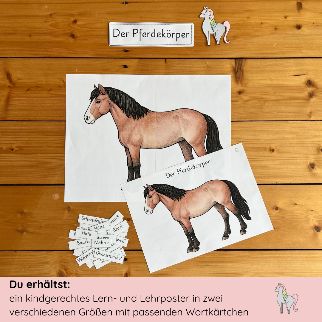 kindgerechte Arbeitsblätter und Lehr- und Lernposter Pferdekörper