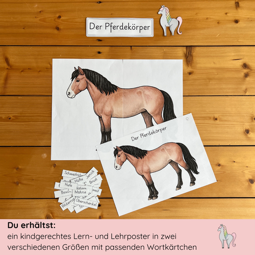 kindgerechte Arbeitsblätter und Lehr- und Lernposter Pferdekörper