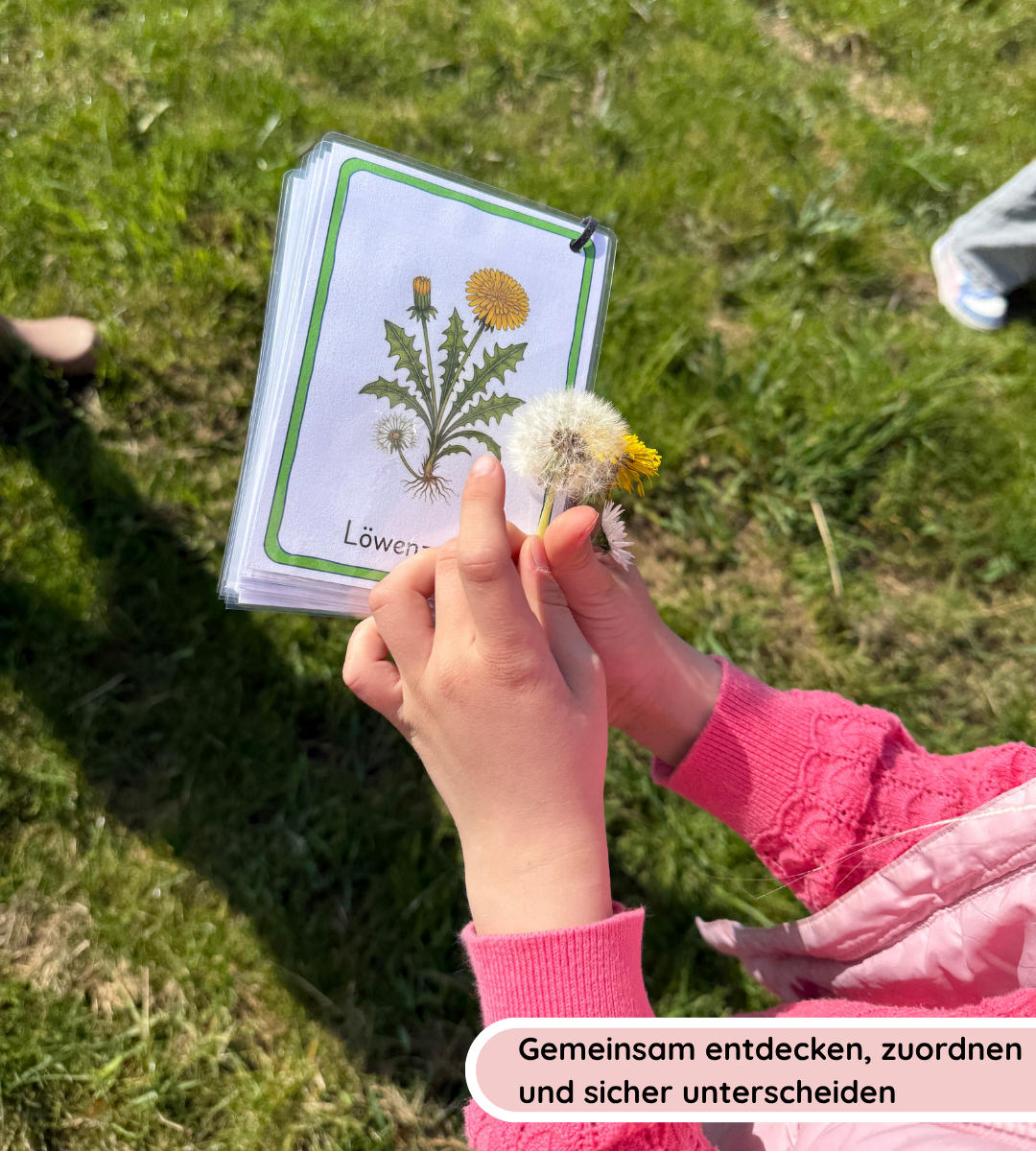 Materialpaket Nutz- und Giftpflanzen