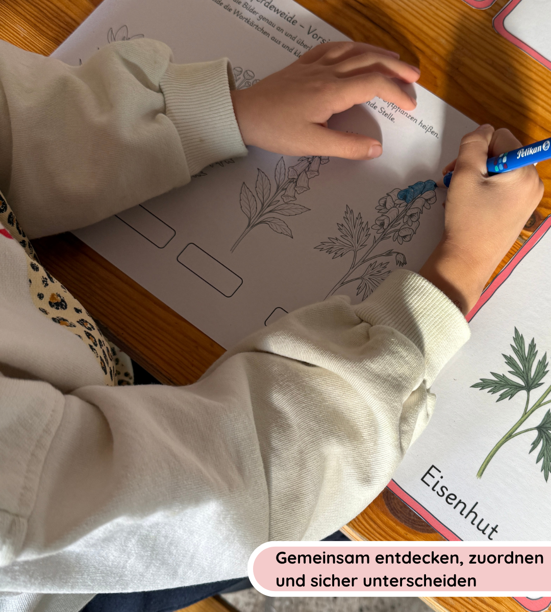 Materialpaket Nutz- und Giftpflanzen