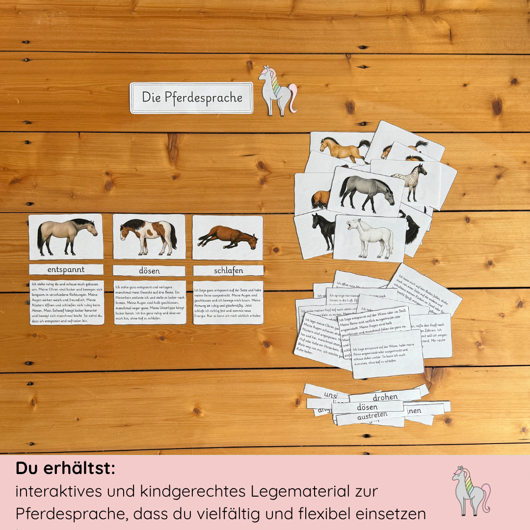 Materialpony - Rundum versorgt