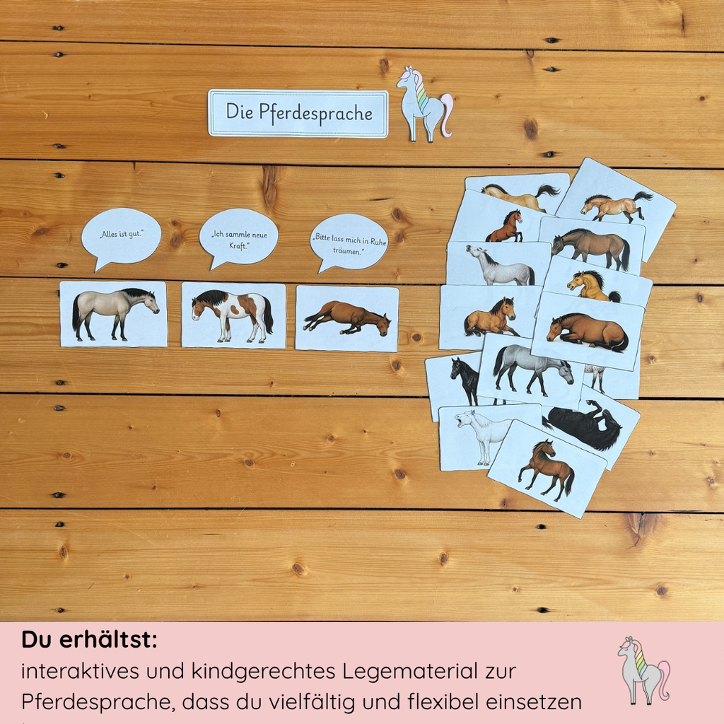 Materialpony - Rundum versorgt