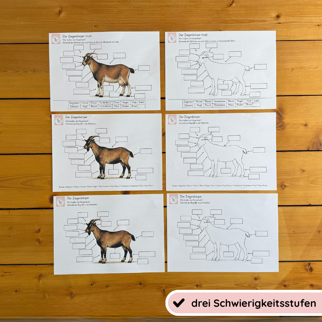 kindgerechte Arbeitsblätter und Lehr- und Lernposter Ziegenkörper