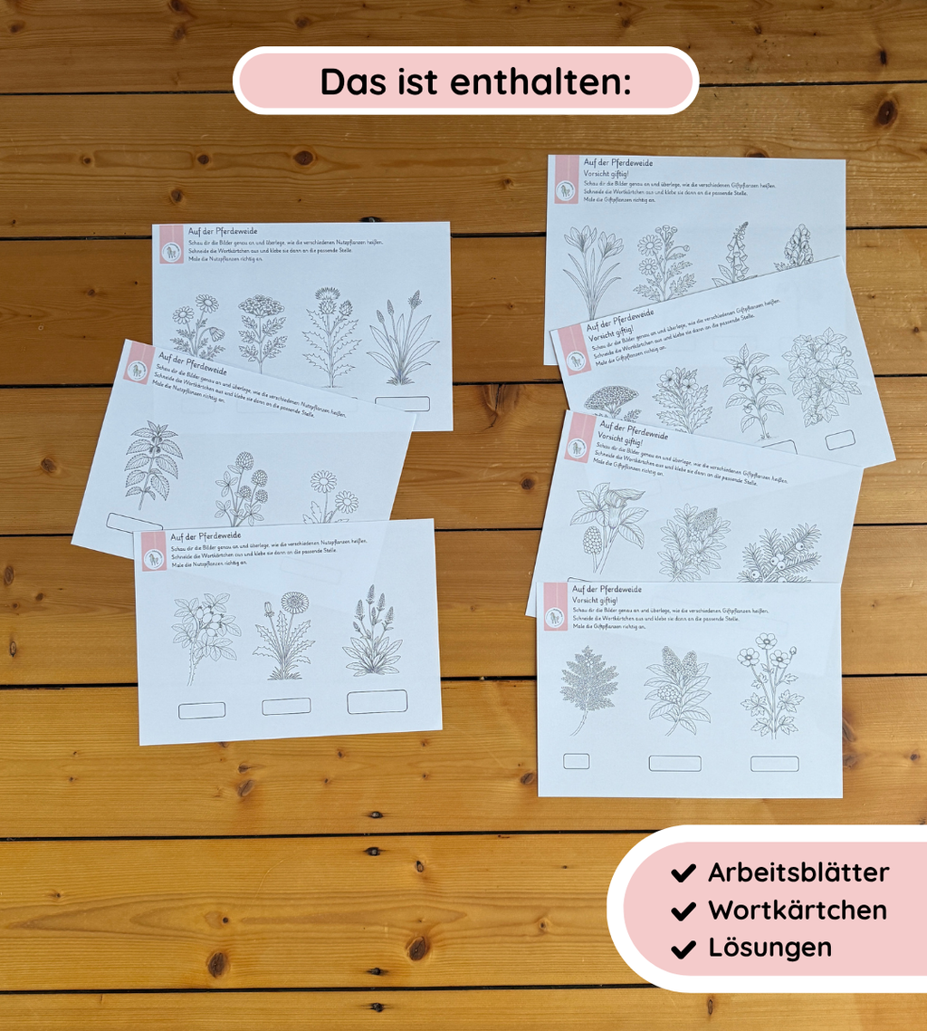 Kindgerechte Arbeitsblätter 1 - Nutz- und Giftpflanzen sicher erkennen und unterscheiden