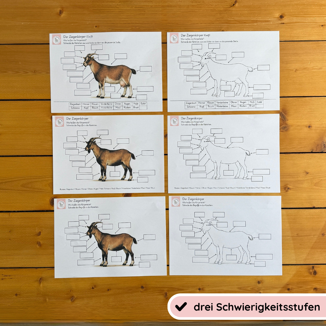 Unser Ziegen-Bundle