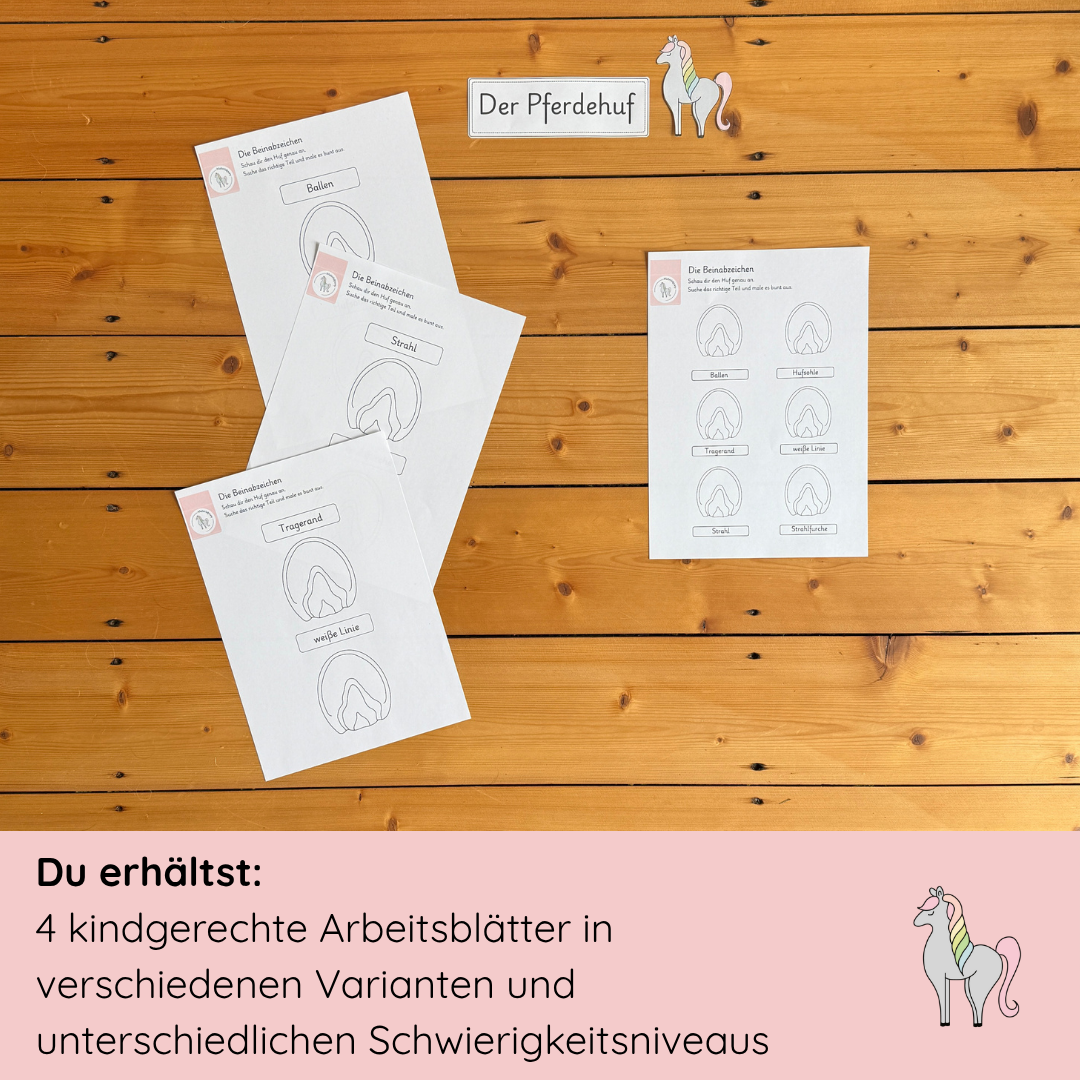 Unser Pferdehuf-Bundle