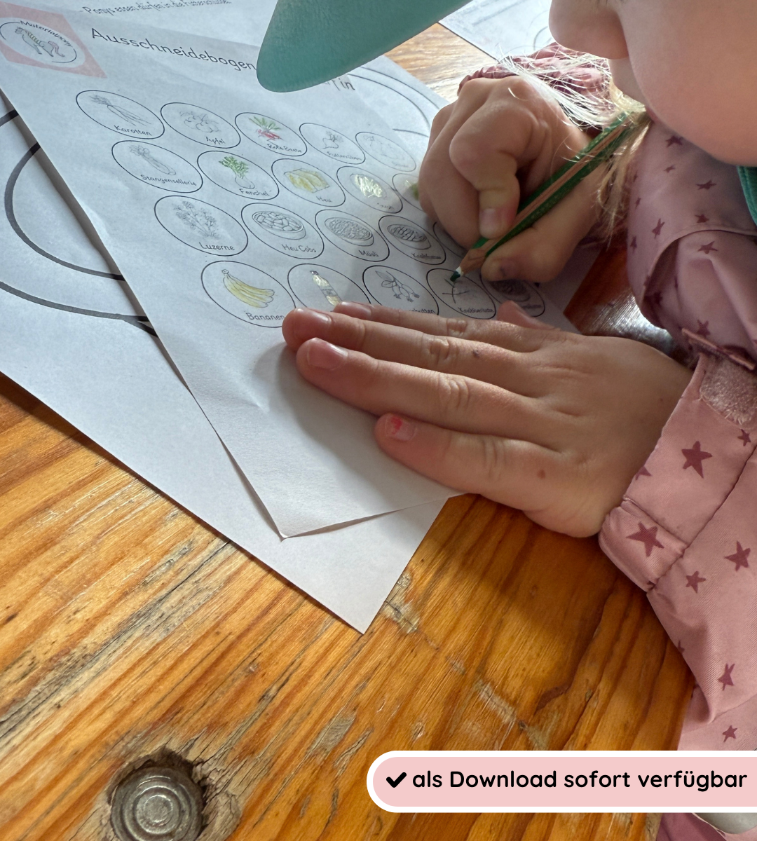 Pferdefütterung spielerisch lernen - Legematerial und Arbeitsblätter