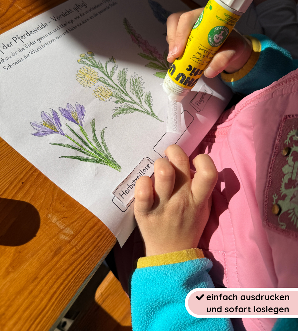 Materialpaket Nutz- und Giftpflanzen