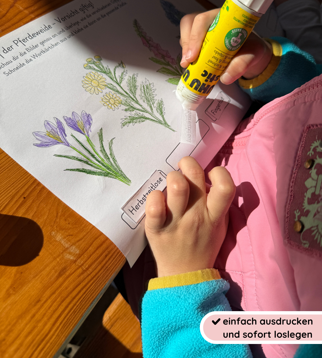 Materialpaket Nutz- und Giftpflanzen
