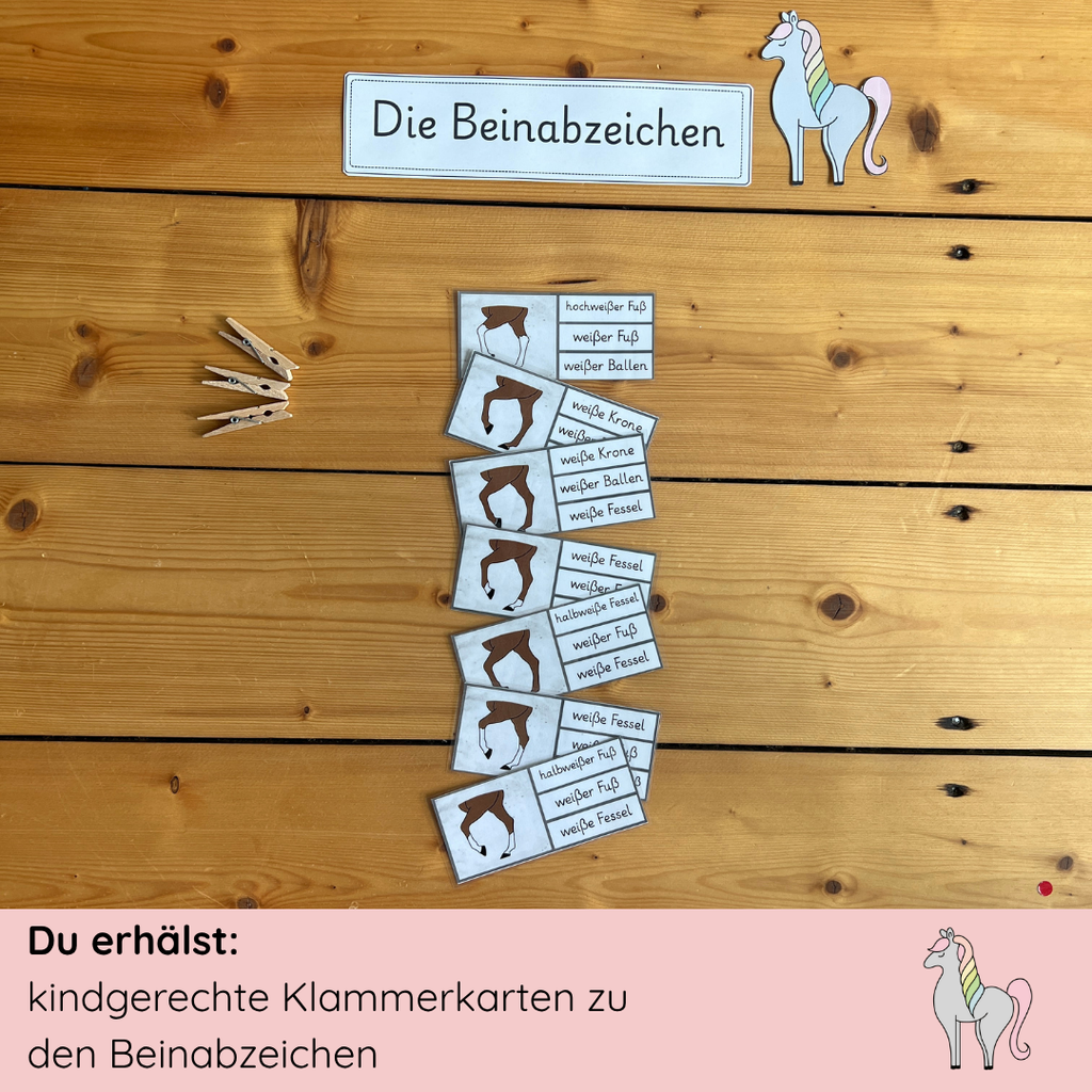 Unser Beinabzeichen-Bundle