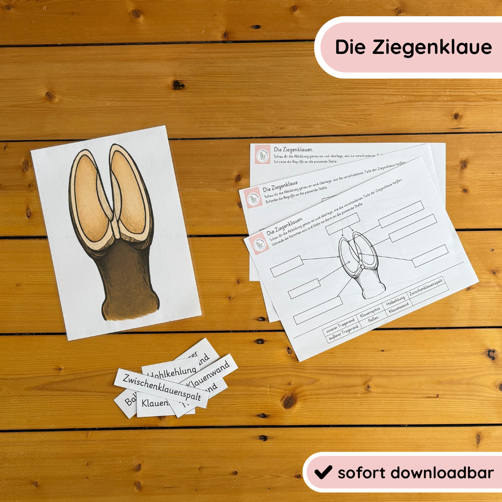 Unser Ziegen-Bundle