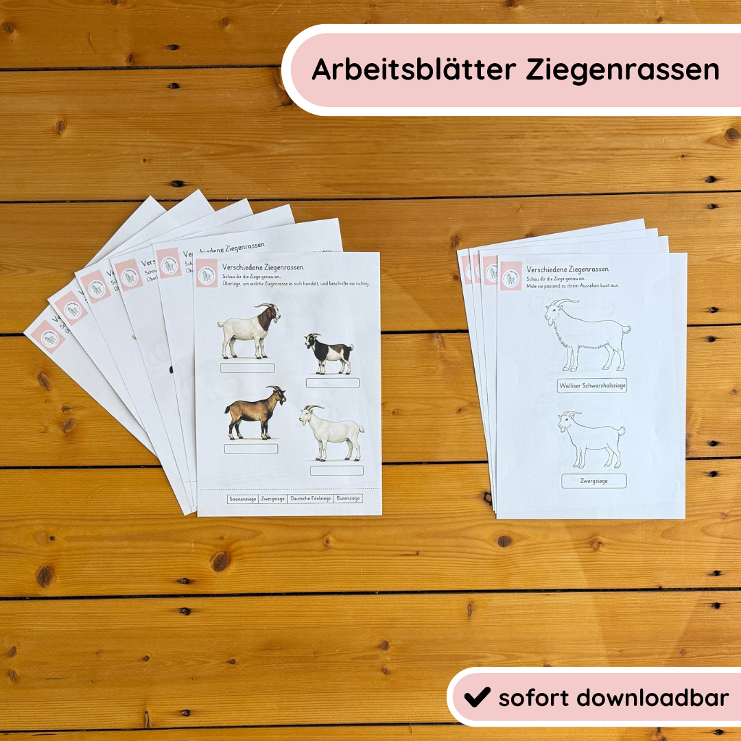 Kindgerechte Arbeitsblätter Ziegenrassen