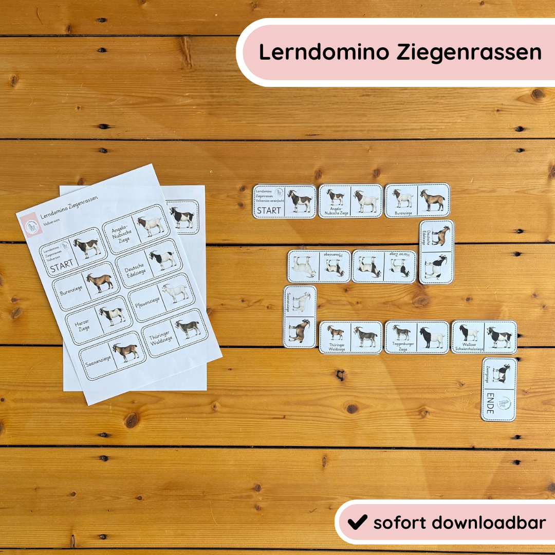 Lerndomino Ziegenrassen