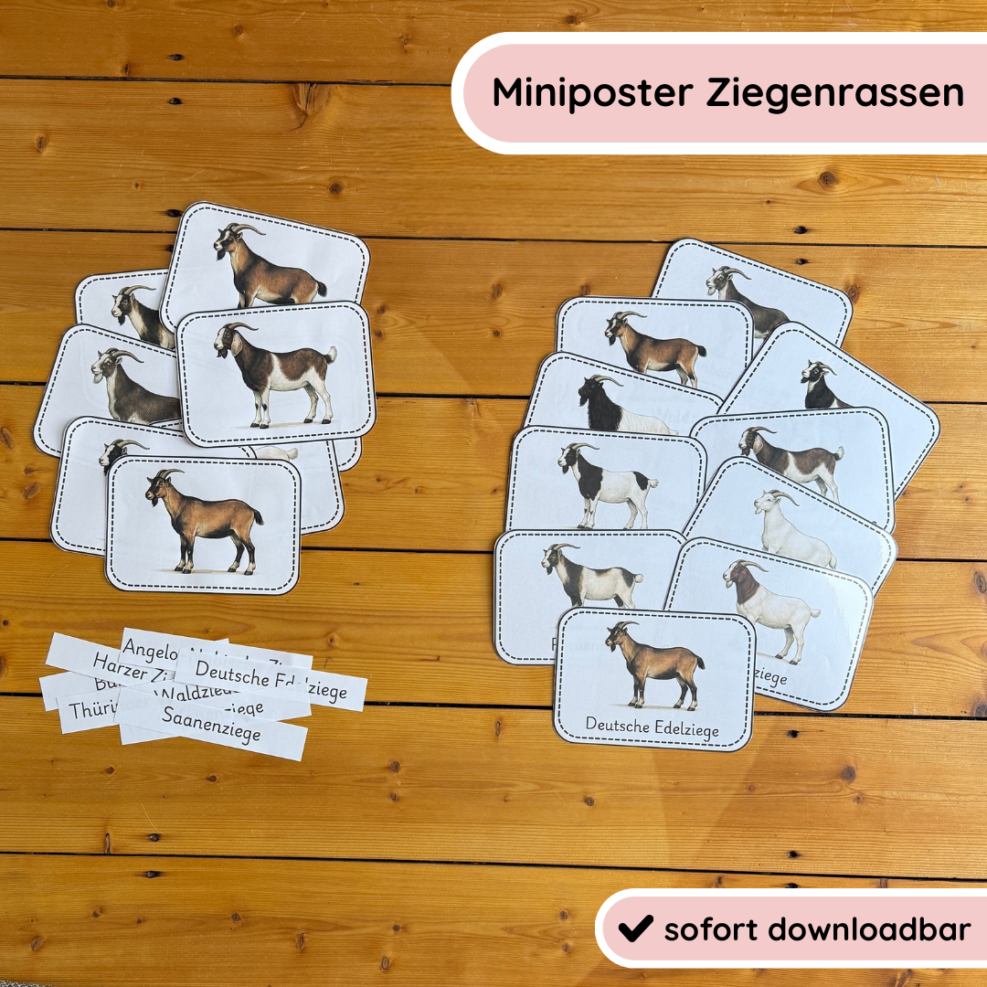 Miniposter Ziegenrassen
